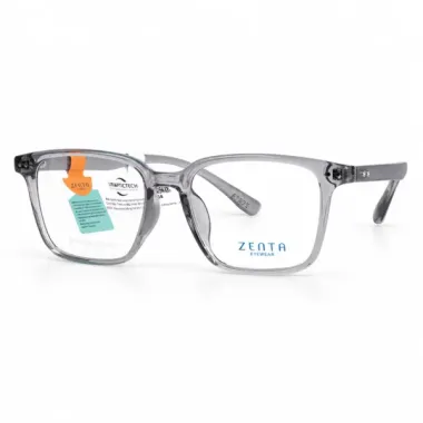 Gọng Kính ZENTA DT26-A-ZT8412