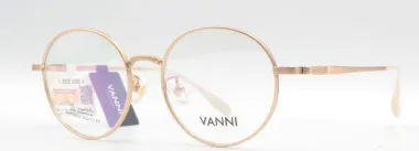 Gọng VANNI VNTI3024