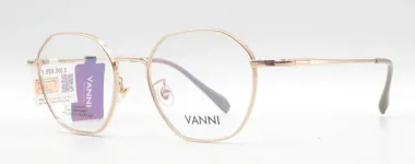 Gọng VANNI VNTI3021