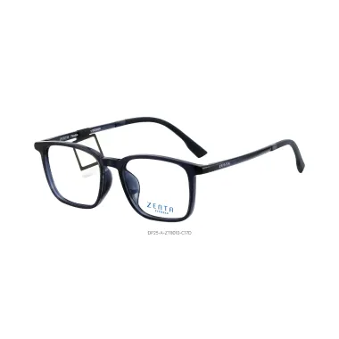 Gọng Kính Zenta DP25-A-ZT8010