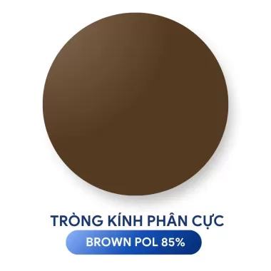 TRÒNG KÍNH NHUỘM MÀU PHÂN CỰC ZEISS POLARIZED