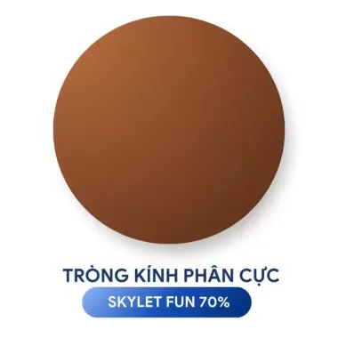 TRÒNG KÍNH NHUỘM MÀU PHÂN CỰC ZEISS POLARIZED