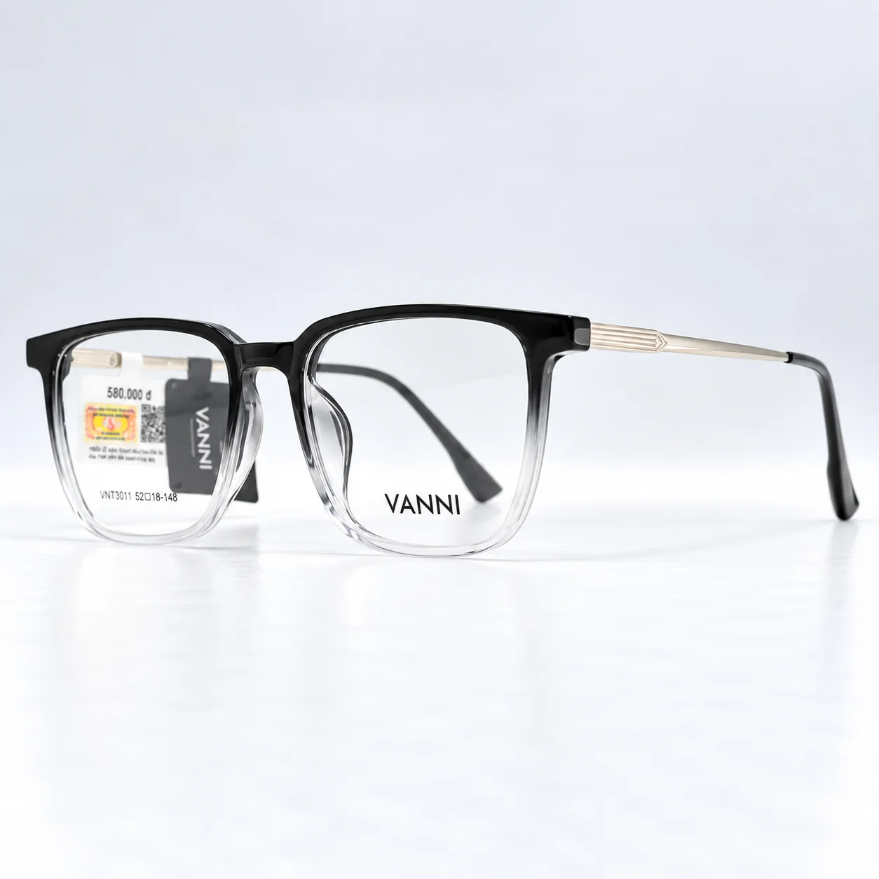 Gọng VANNI VNT3011